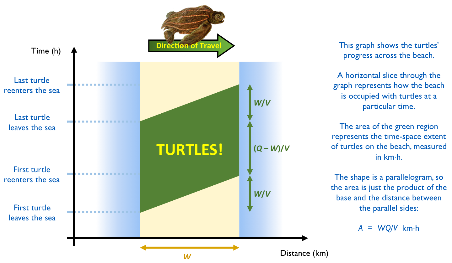 Turtle_Time_Space_Diagram